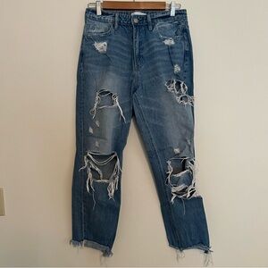 Vervet Ripped Loose Jeans